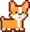 corgi